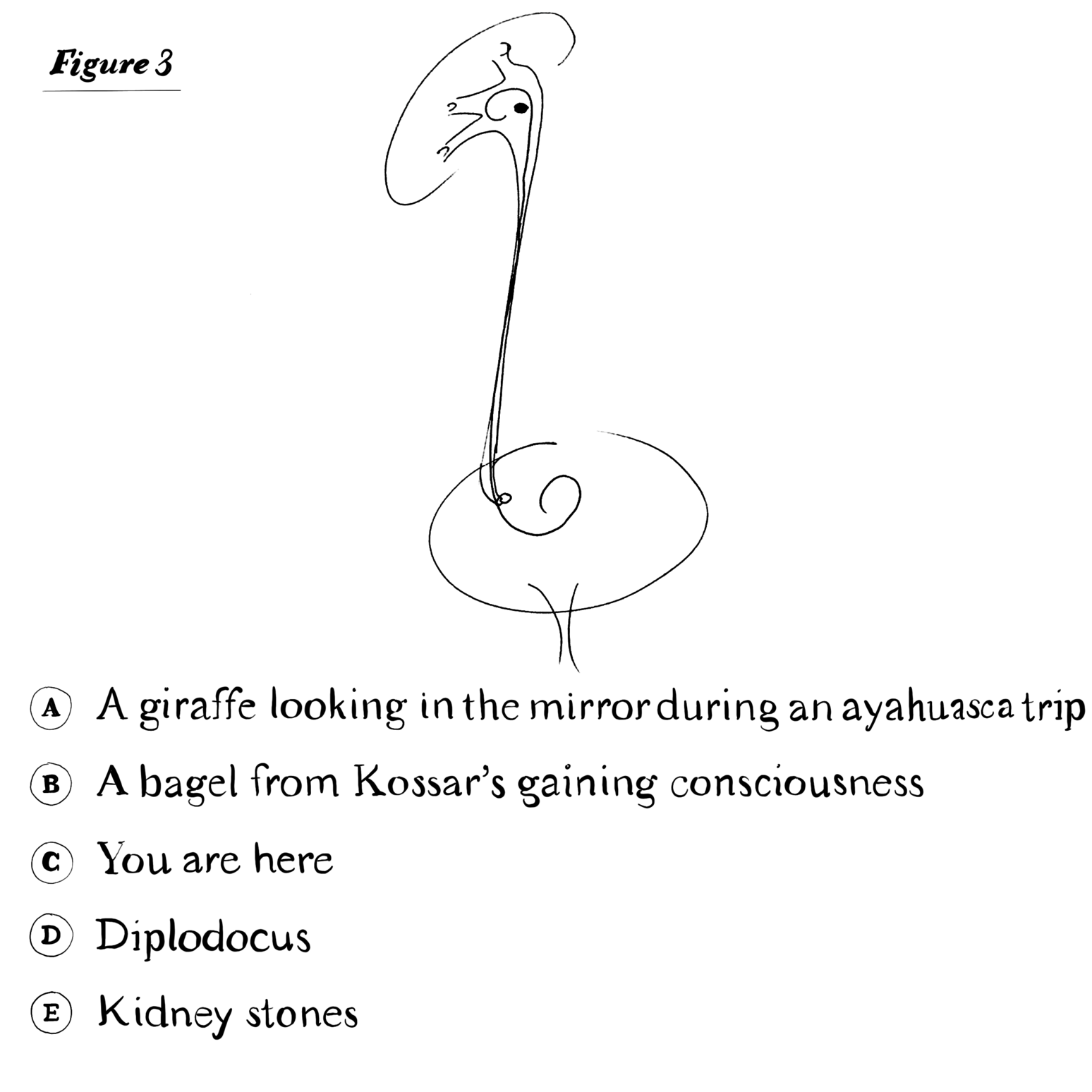 DocDiagram-figure3