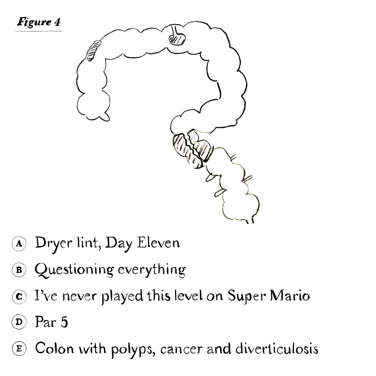 DocDiagram-figure4